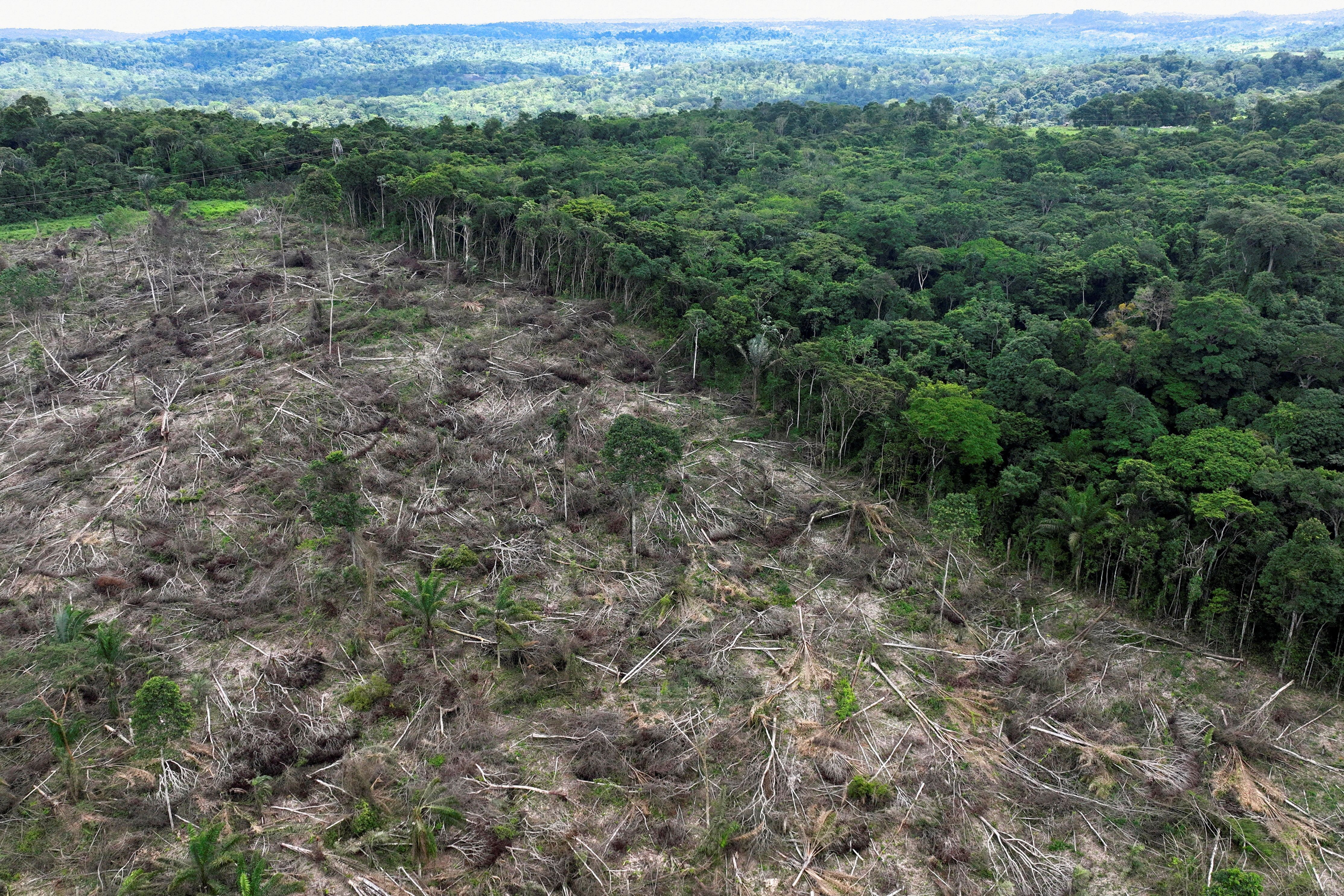 Garimpo, madeira e grilagem: pesquisa liga crimes ambientais e caminho do dinheiro na Amazônia